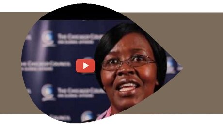 Interview with Lindiwe Majele Sibanda